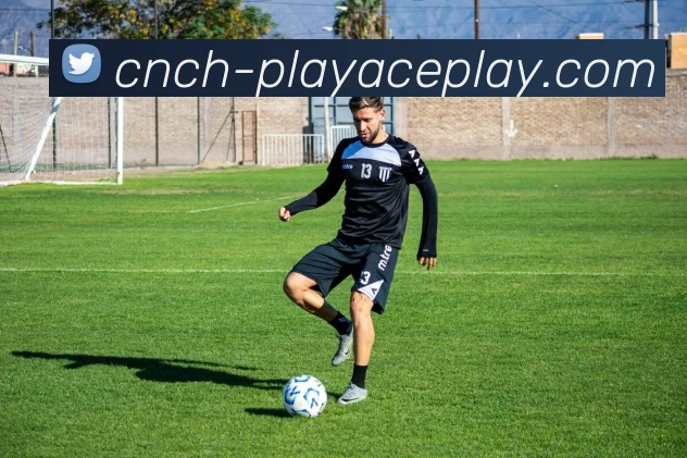 PLAYACE官网平台生态图